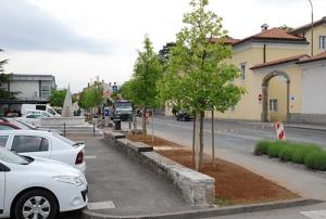 Zaključena ureditev zelenice pred pošto v Sežani1